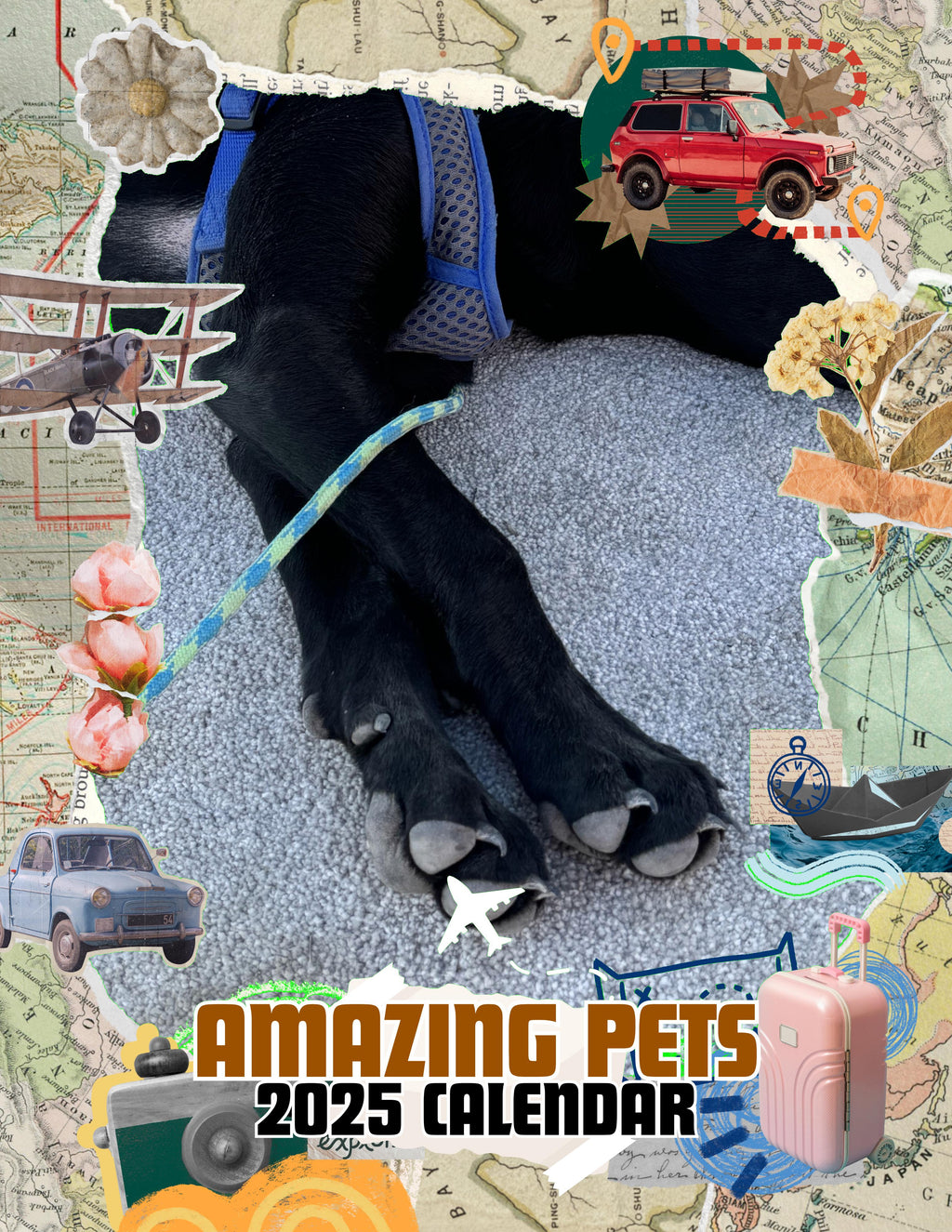 Amazing Pets: 2025 Wall Calendar (Pre-Order)