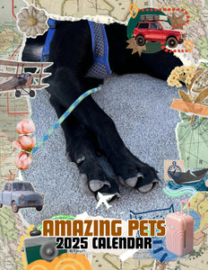 Amazing Pets: 2025 Wall Calendar (Pre-Order)