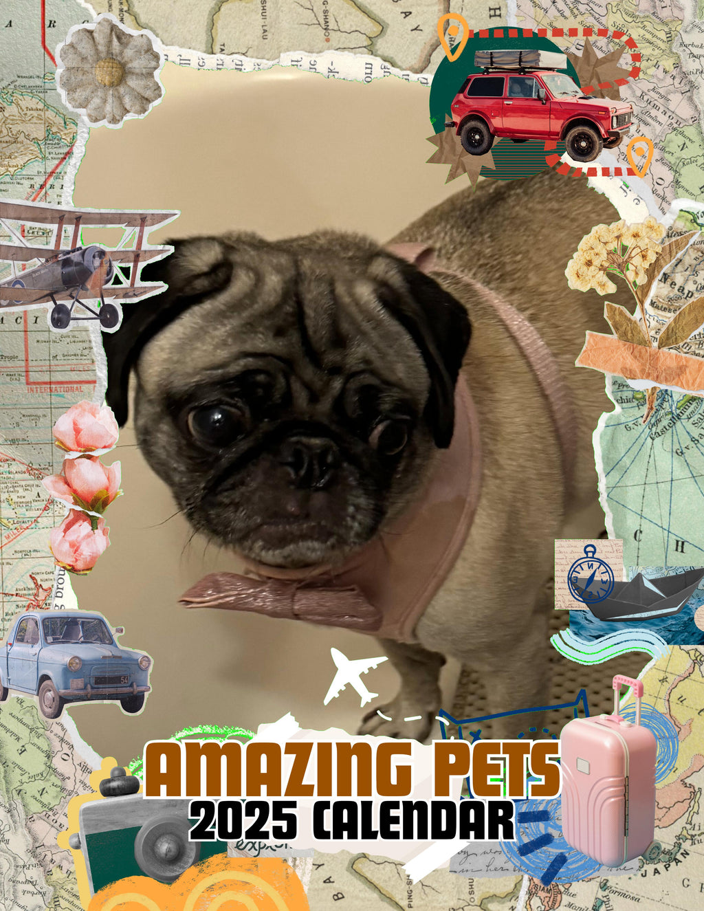Amazing Pets: 2025 Wall Calendar (Pre-Order)