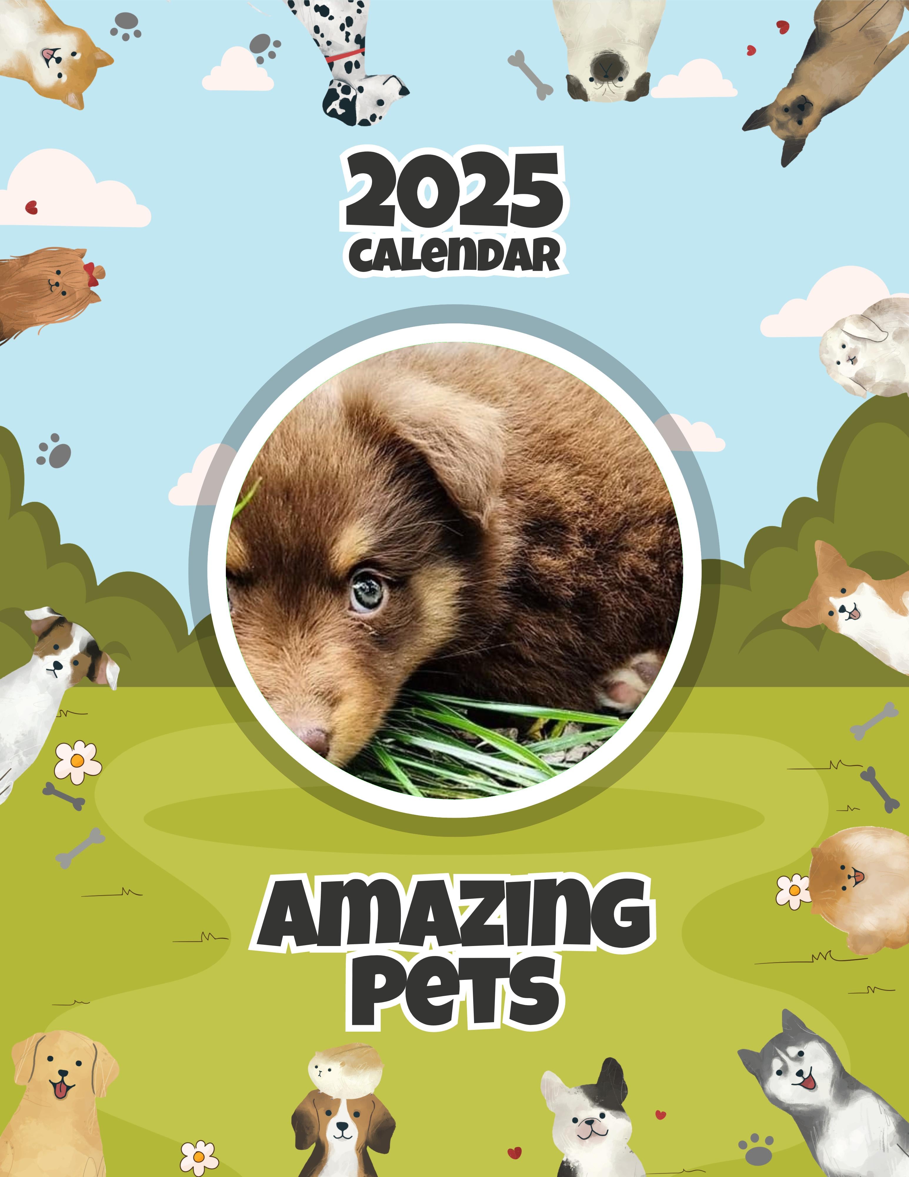 Amazing Pets: 2025 Wall Calendar (Pre-Order)