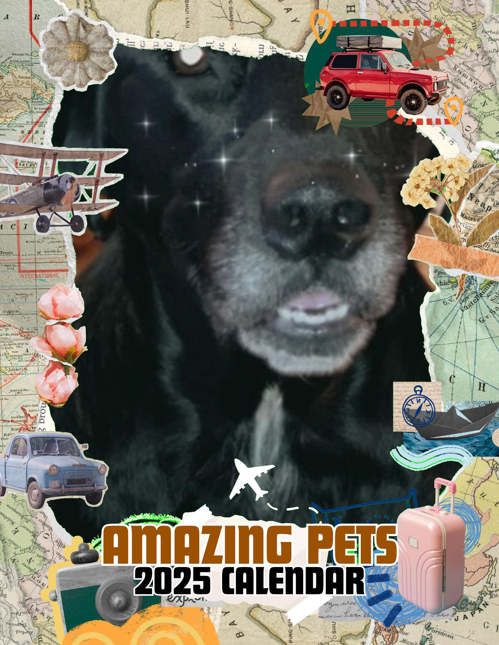 Amazing Pets: 2025 Wall Calendar (Pre-Order)