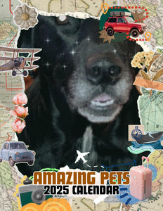 Amazing Pets: 2025 Wall Calendar (Pre-Order)