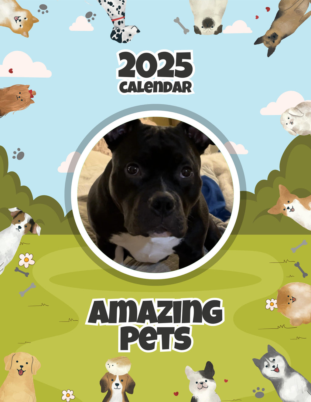 Amazing Pets: 2025 Wall Calendar (Pre-Order)