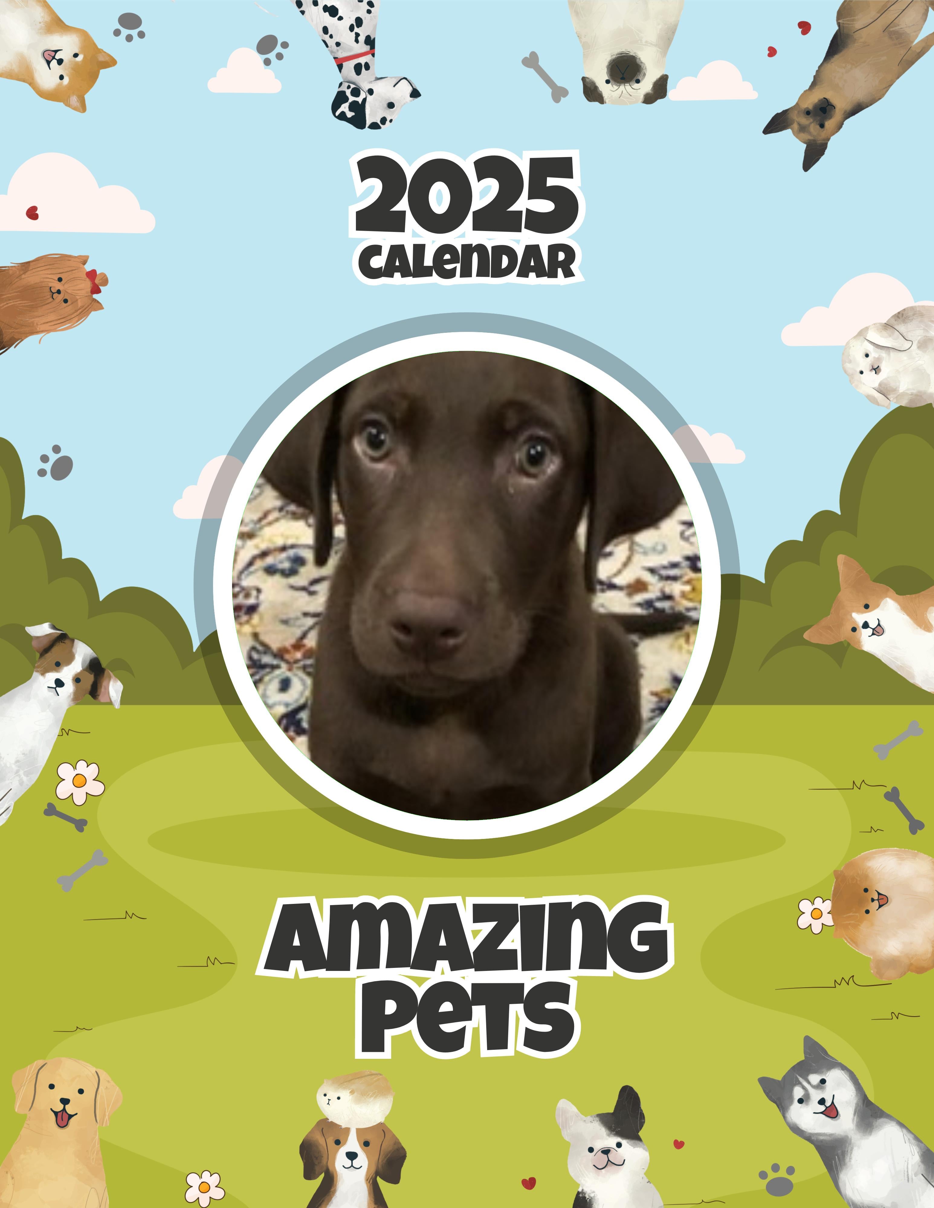 Amazing Pets: 2025 Wall Calendar (Pre-Order)