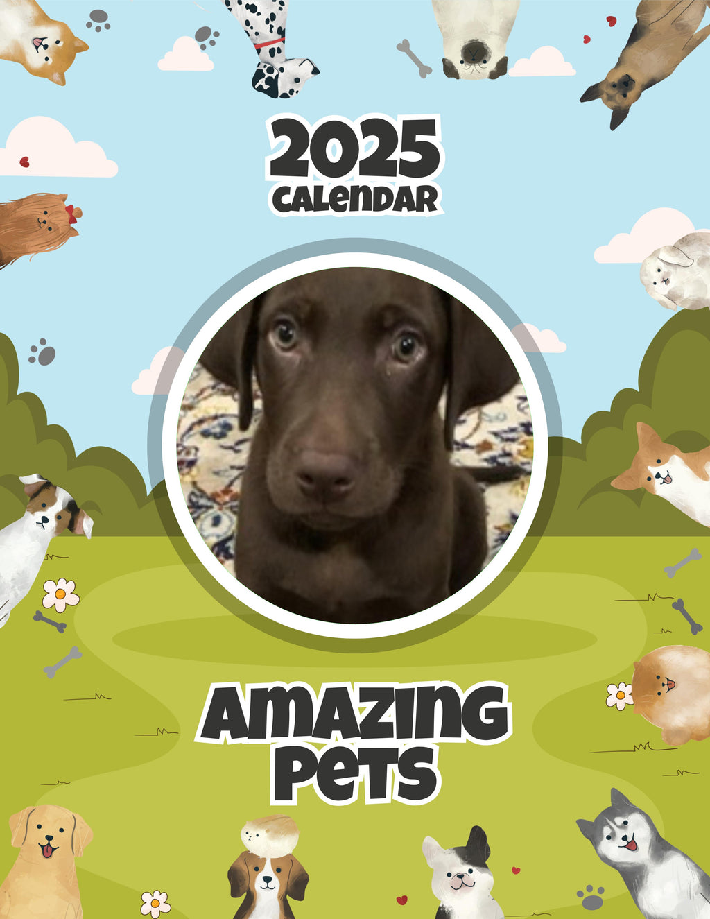 Amazing Pets: 2025 Wall Calendar (Pre-Order)