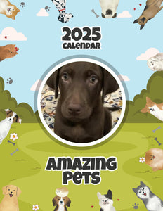 Amazing Pets: 2025 Wall Calendar (Pre-Order)