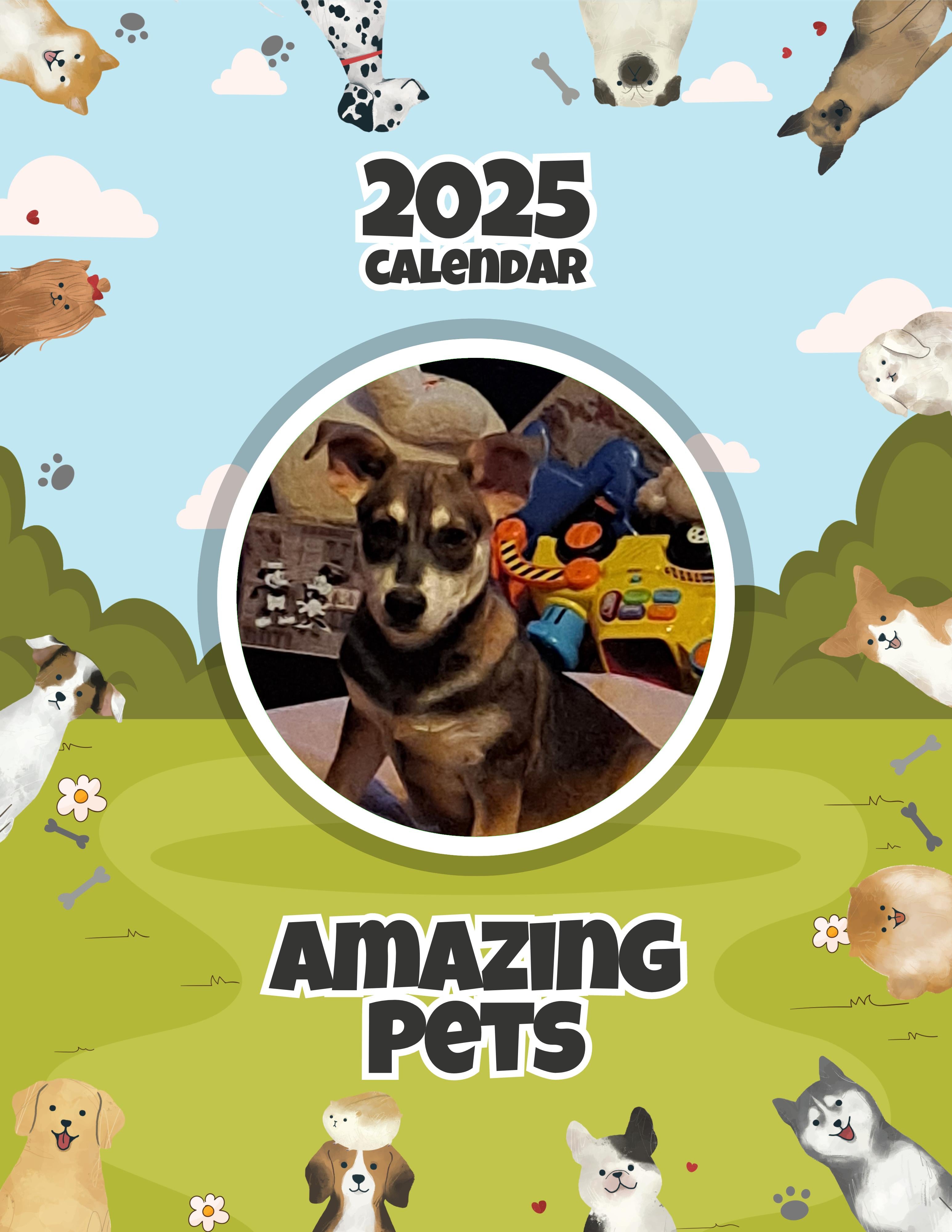 Amazing Pets: 2025 Wall Calendar (Pre-Order)