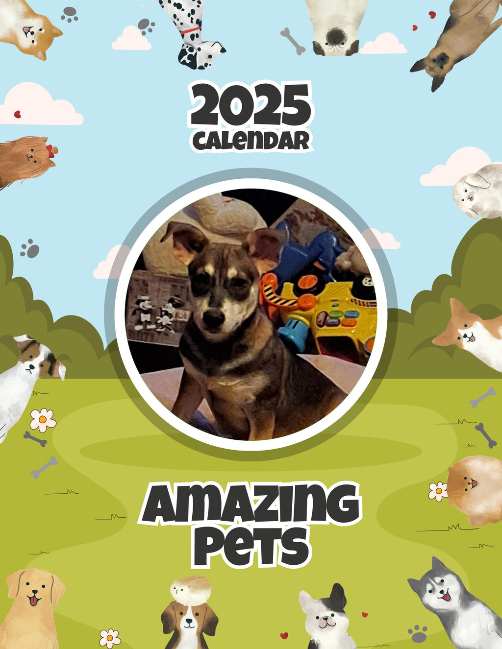 Amazing Pets: 2025 Wall Calendar (Pre-Order)