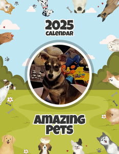 Amazing Pets: 2025 Wall Calendar (Pre-Order)