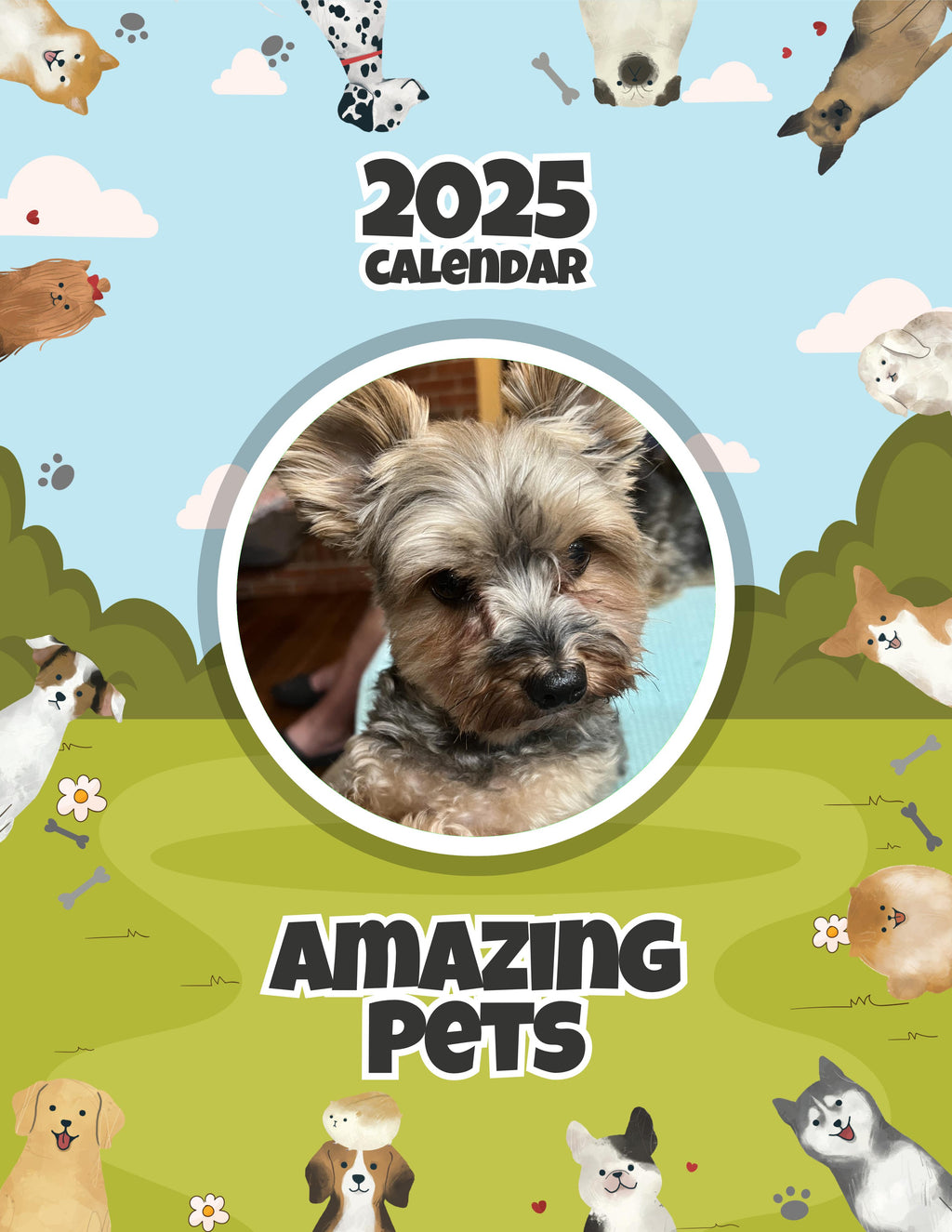 Amazing Pets: 2025 Wall Calendar (Pre-Order)