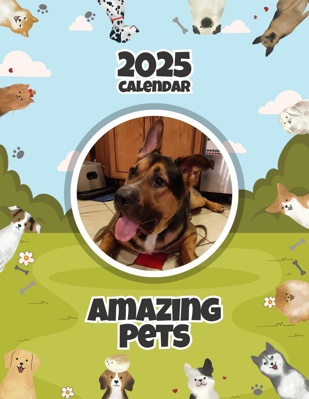 Amazing Pets: 2025 Wall Calendar (Pre-Order)