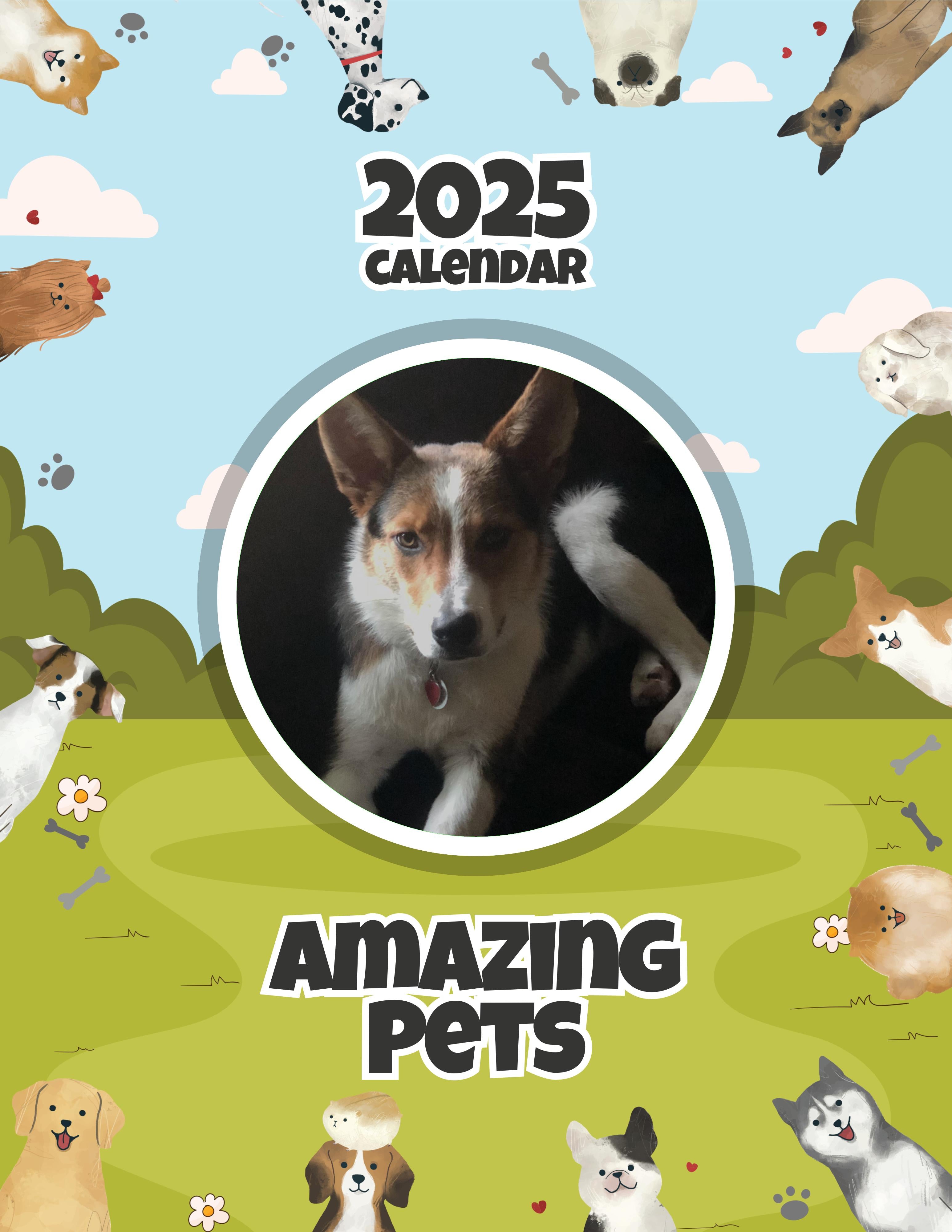 Amazing Pets: 2025 Wall Calendar (Pre-Order)