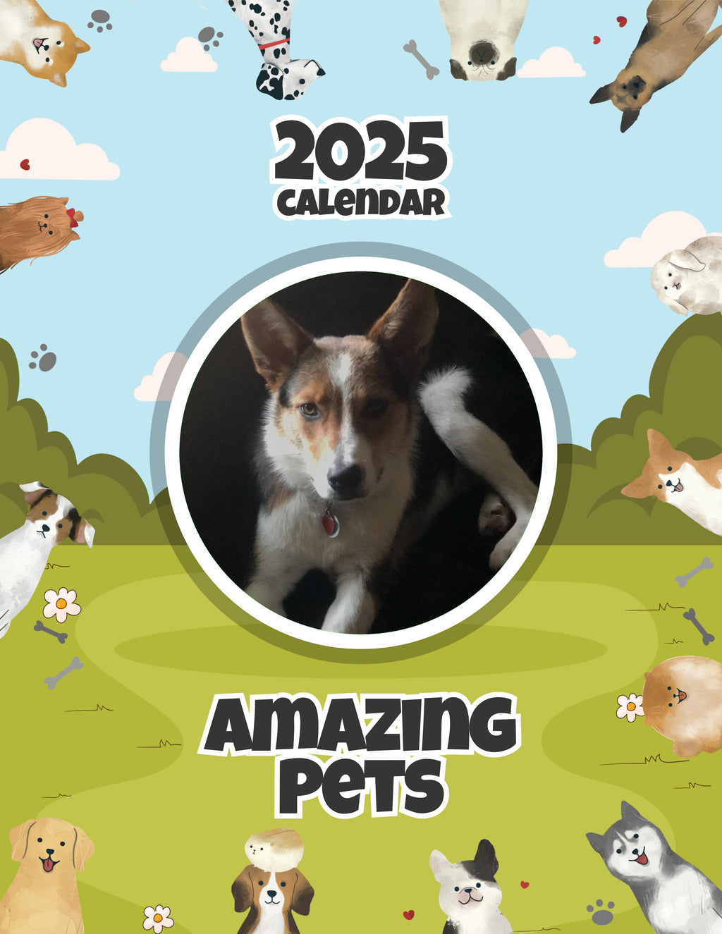 Amazing Pets: 2025 Wall Calendar (Pre-Order)