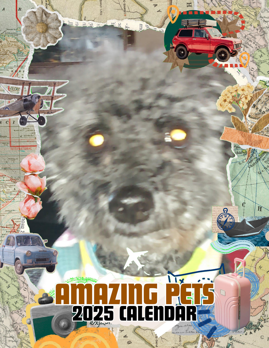 Amazing Pets: 2025 Wall Calendar (Pre-Order)