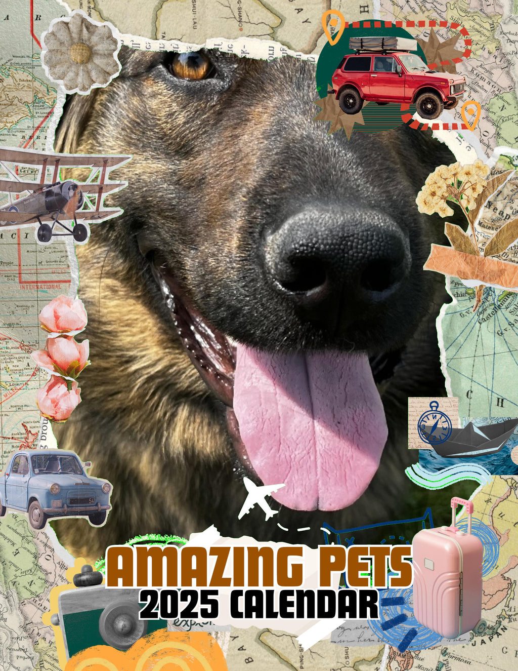 Amazing Pets: 2025 Wall Calendar (Pre-Order)