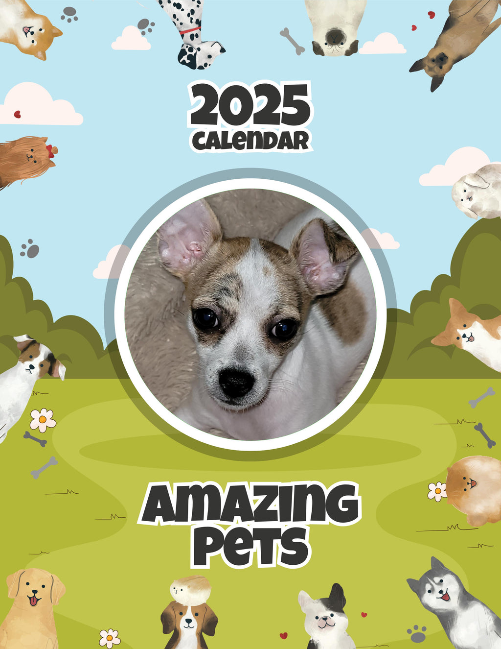 Amazing Pets: 2025 Wall Calendar (Pre-Order)