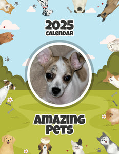 Amazing Pets: 2025 Wall Calendar (Pre-Order)