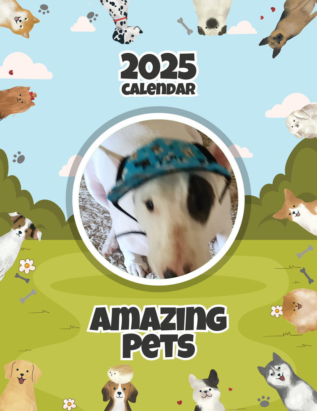 Amazing Pets: 2025 Wall Calendar (Pre-Order)