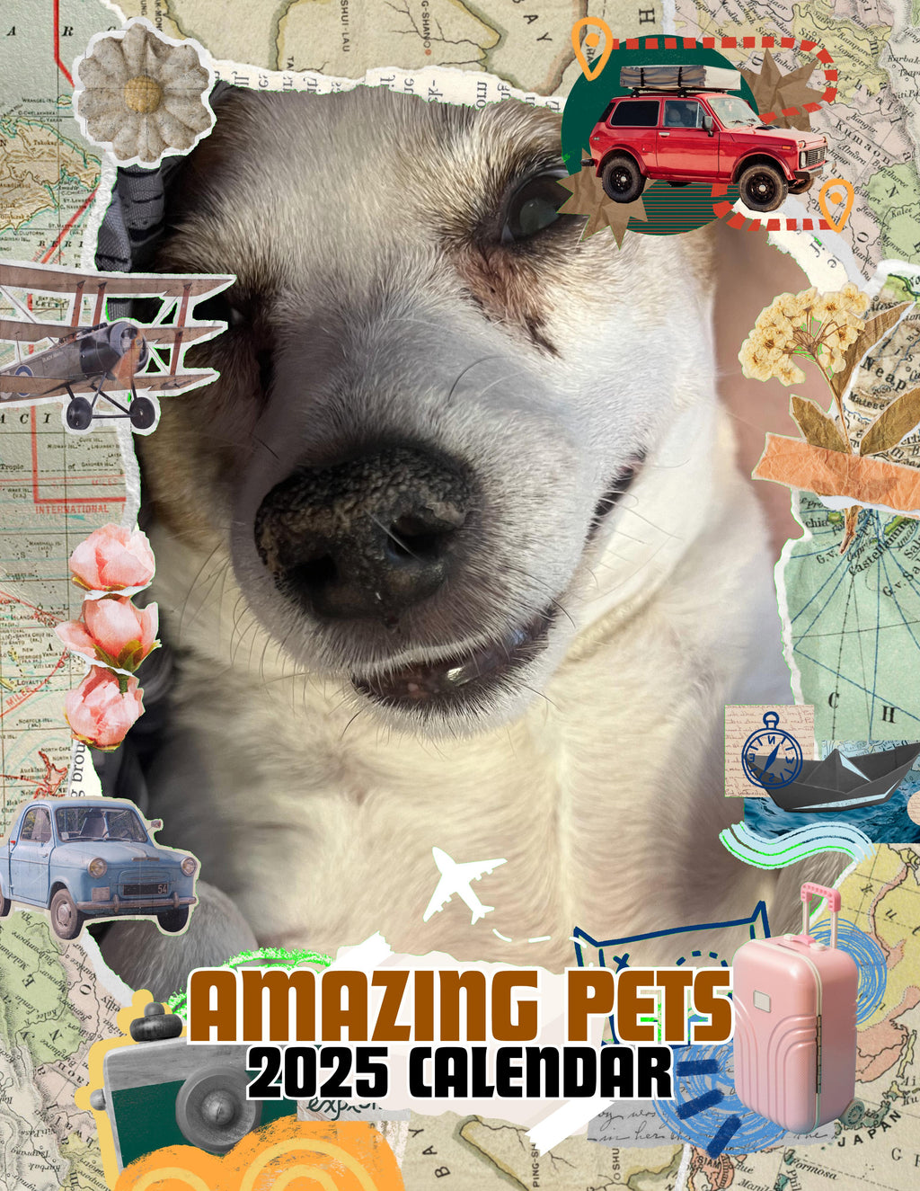 Amazing Pets: 2025 Wall Calendar (Pre-Order)