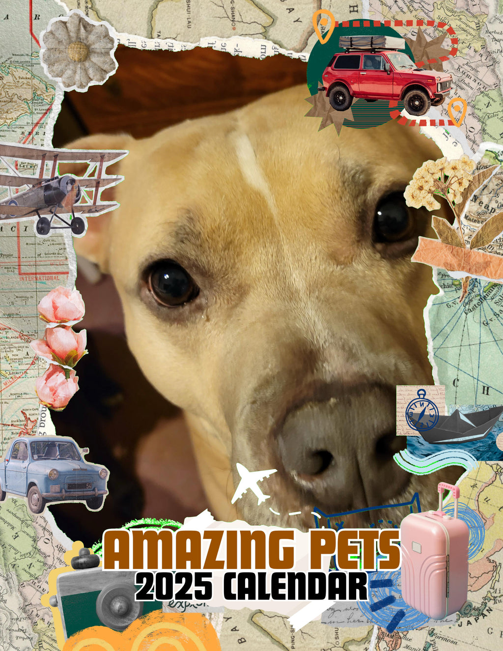 Amazing Pets: 2025 Wall Calendar (Pre-Order)