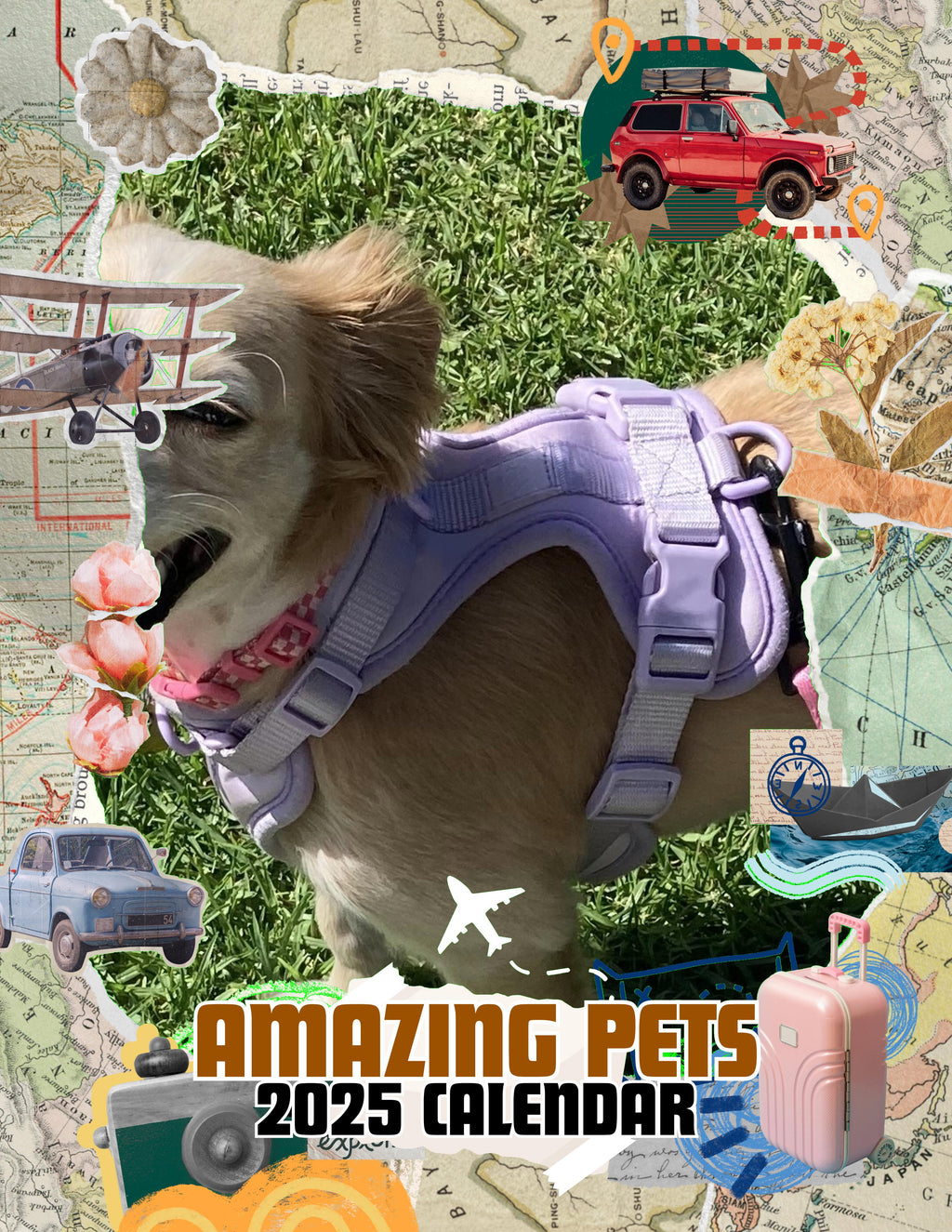 Amazing Pets: 2025 Wall Calendar (Pre-Order)