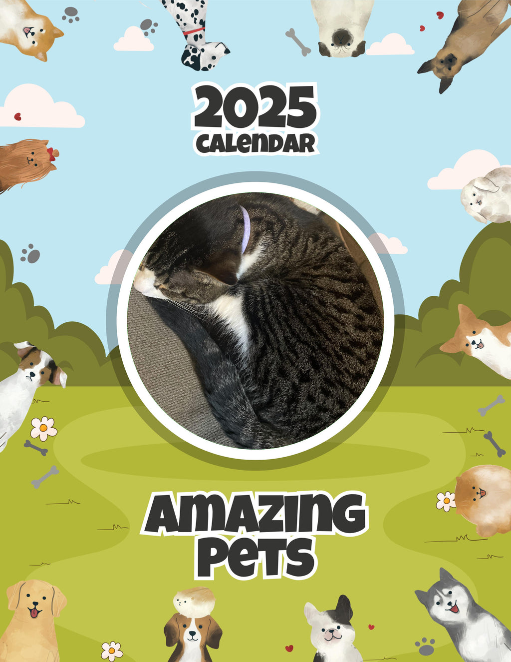 Amazing Pets: 2025 Wall Calendar (Pre-Order)