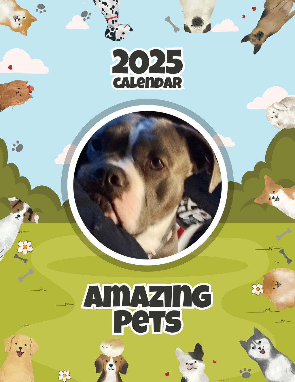 Amazing Pets: 2025 Wall Calendar (Pre-Order)