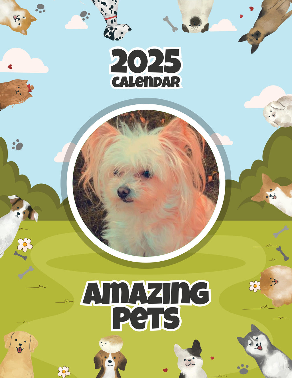 Amazing Pets: 2025 Wall Calendar (Pre-Order)
