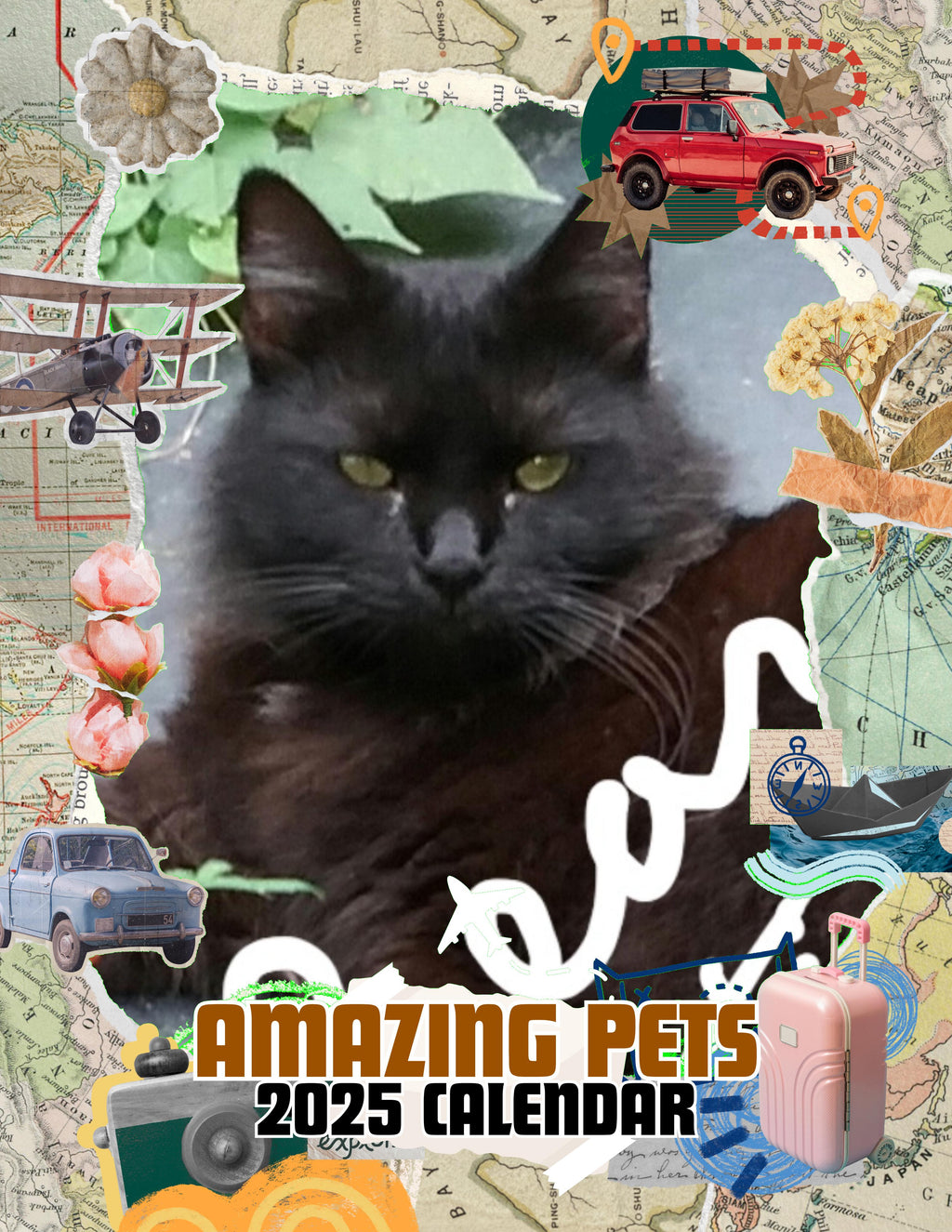 Amazing Pets: 2025 Wall Calendar (Pre-Order)