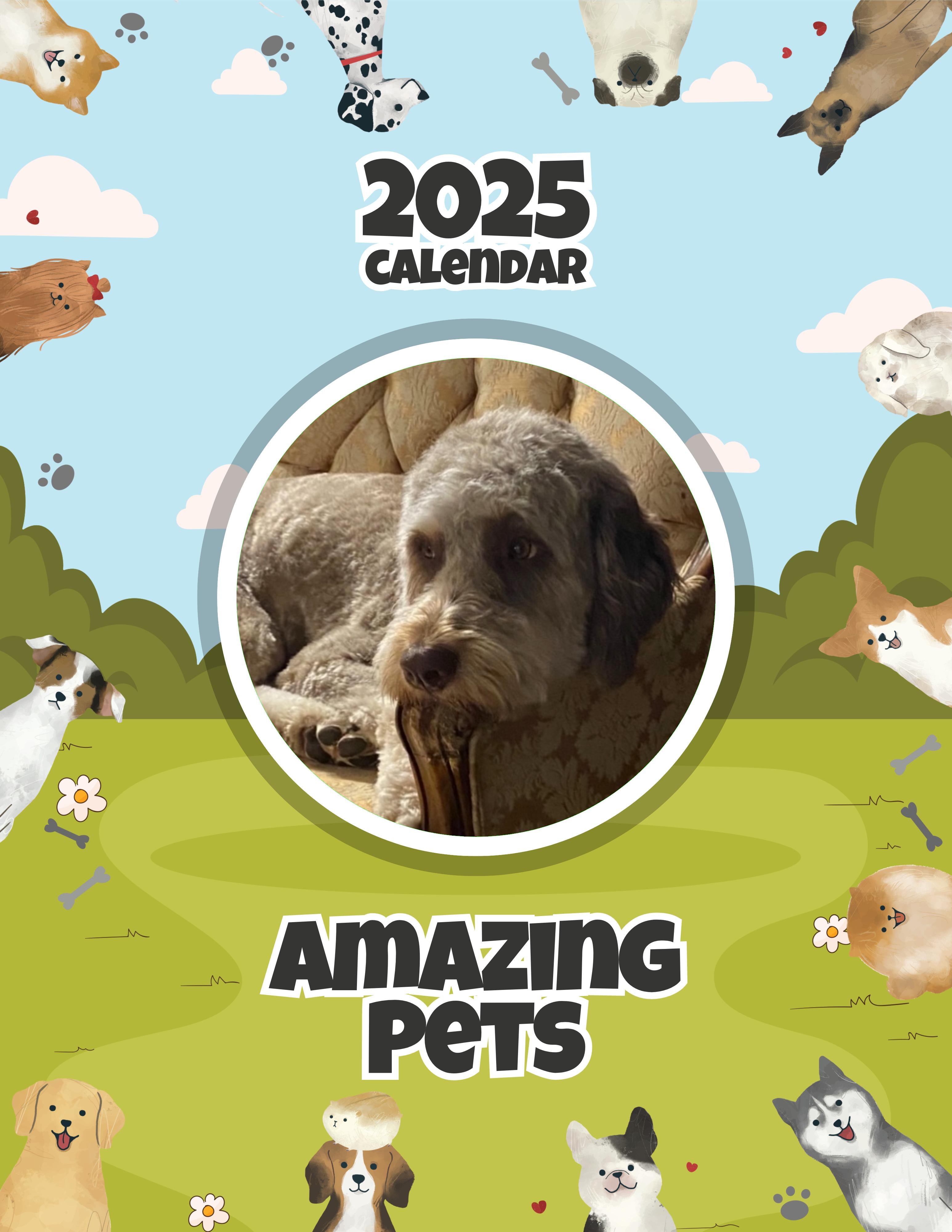 Amazing Pets: 2025 Wall Calendar (Pre-Order)