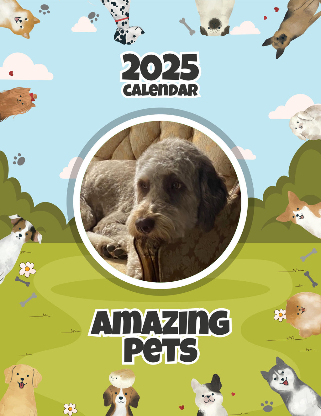 Amazing Pets: 2025 Wall Calendar (Pre-Order)