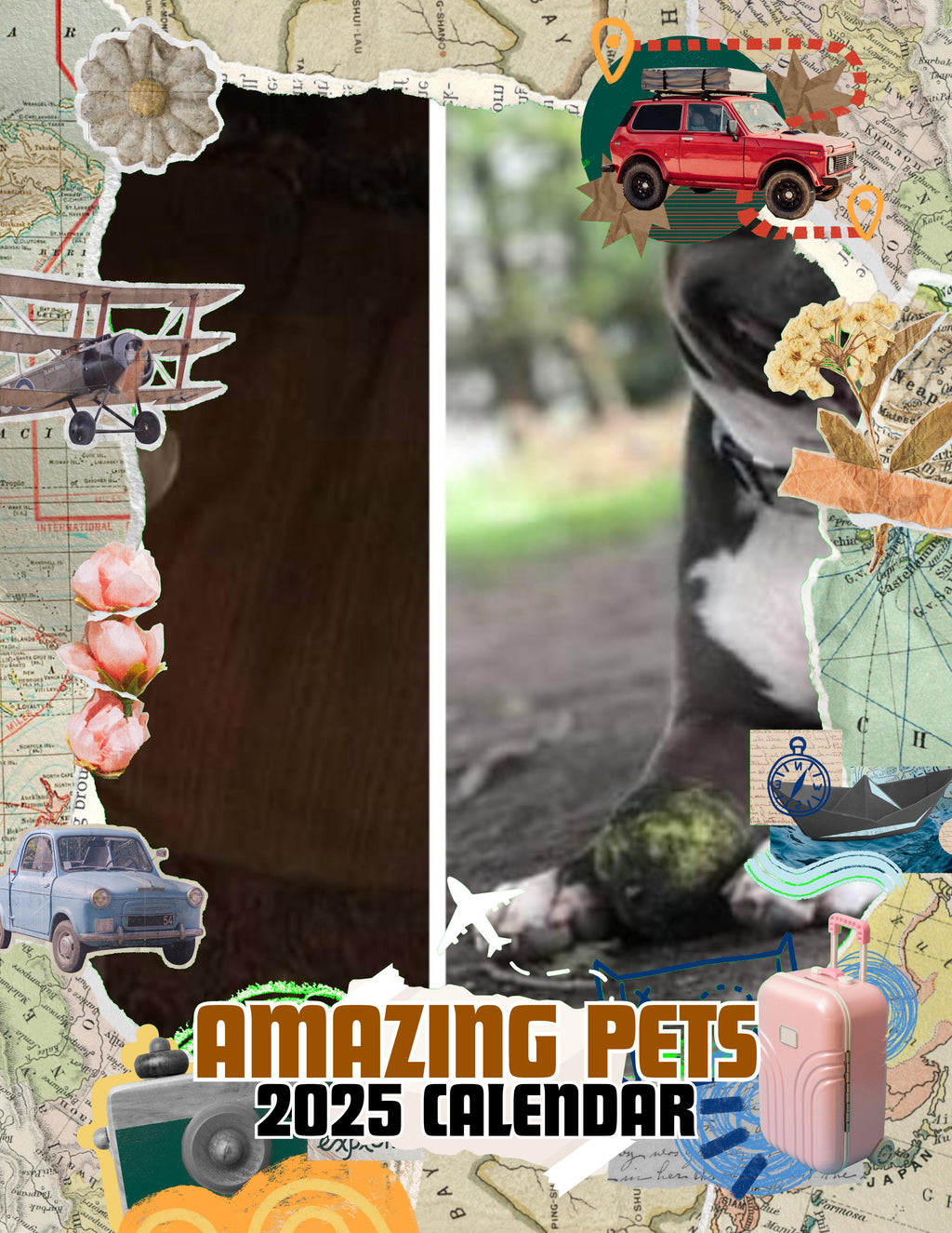 Amazing Pets: 2025 Wall Calendar (Pre-Order)