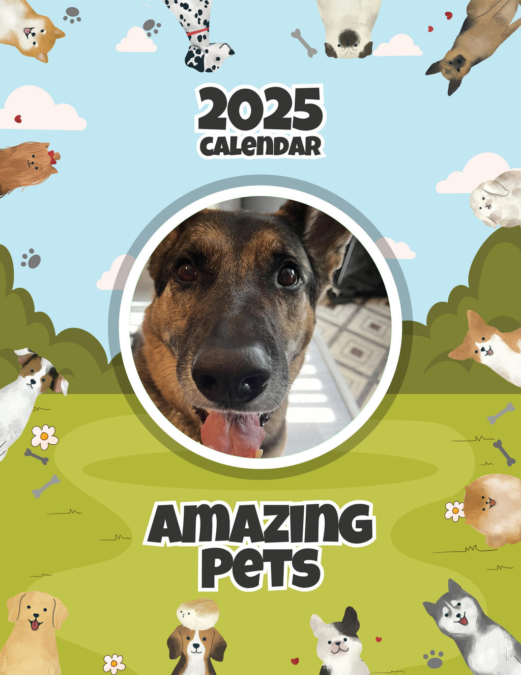 Amazing Pets: 2025 Wall Calendar (Pre-Order)
