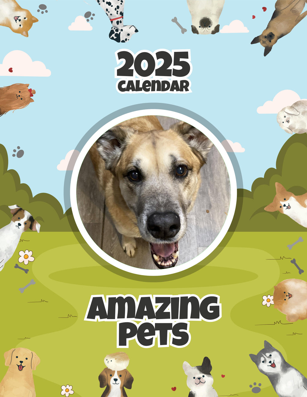 Amazing Pets: 2025 Wall Calendar (Pre-Order)