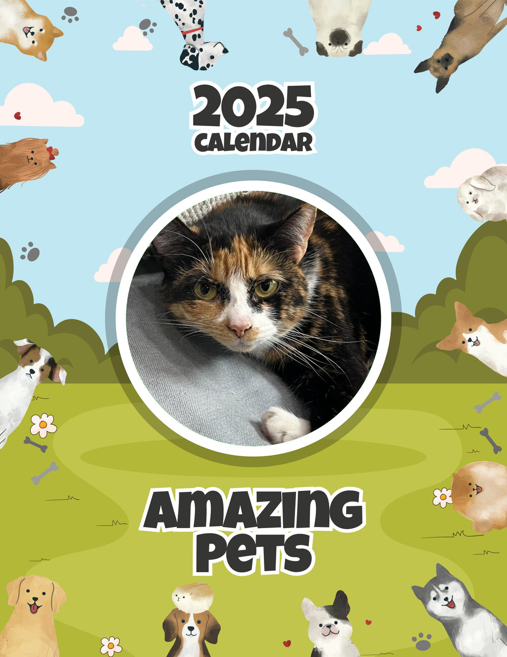 Amazing Pets: 2025 Wall Calendar (Pre-Order)