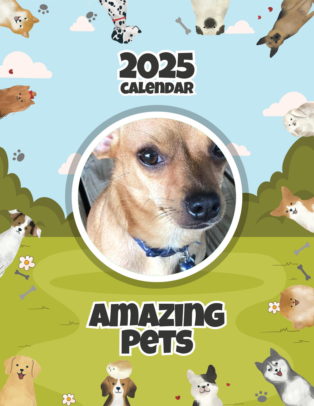 Amazing Pets: 2025 Wall Calendar (Pre-Order)