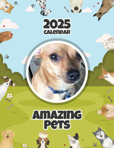 Amazing Pets: 2025 Wall Calendar (Pre-Order)