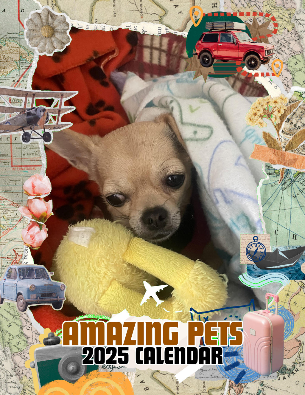 Amazing Pets: 2025 Wall Calendar (Pre-Order)