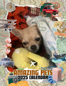 Amazing Pets: 2025 Wall Calendar (Pre-Order)