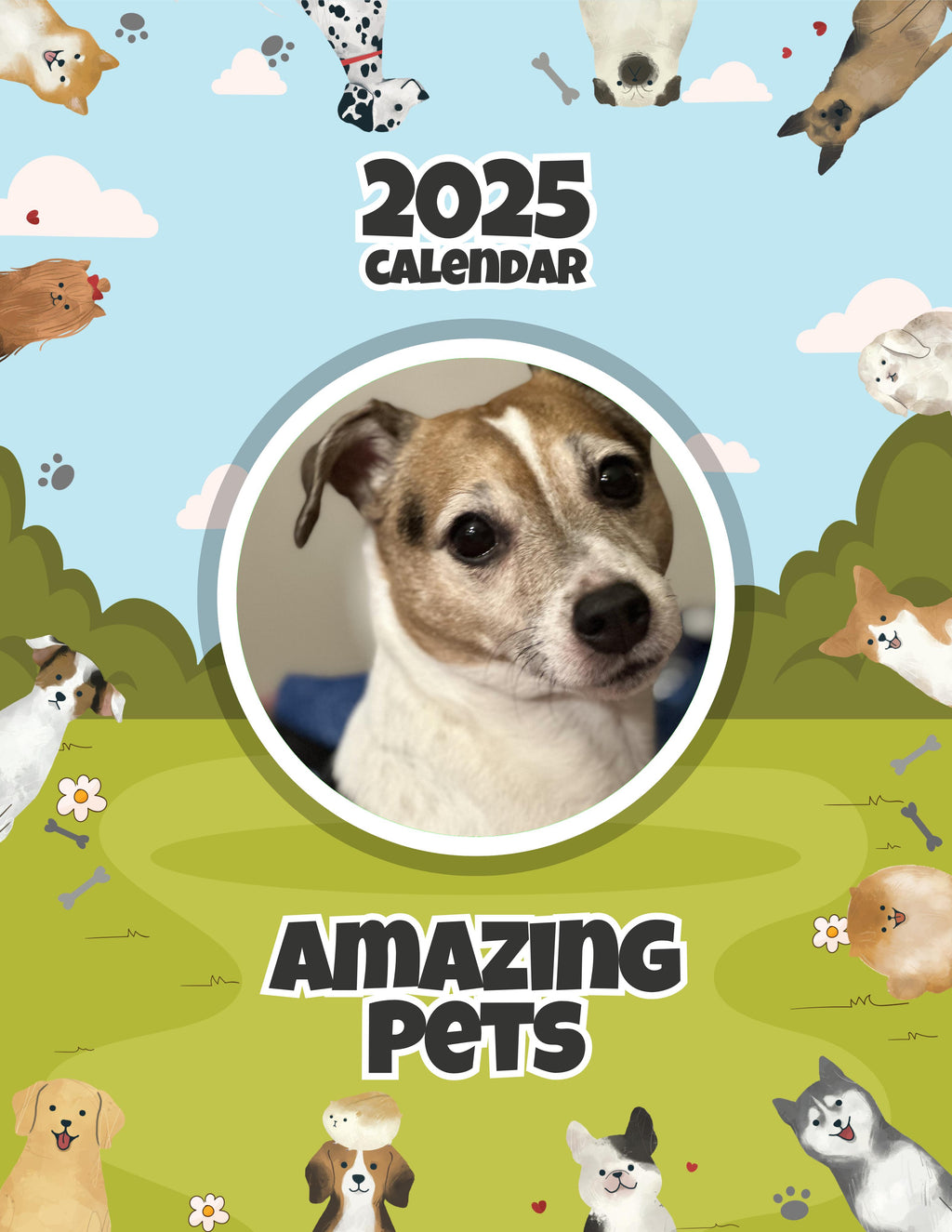 Amazing Pets: 2025 Wall Calendar (Pre-Order)