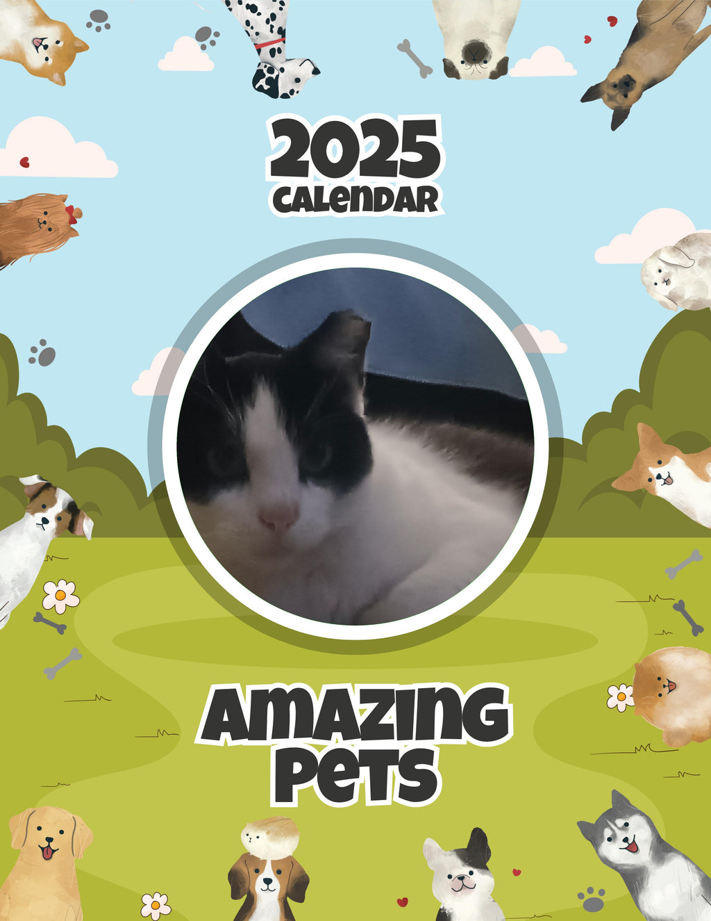 Amazing Pets: 2025 Wall Calendar (Pre-Order)
