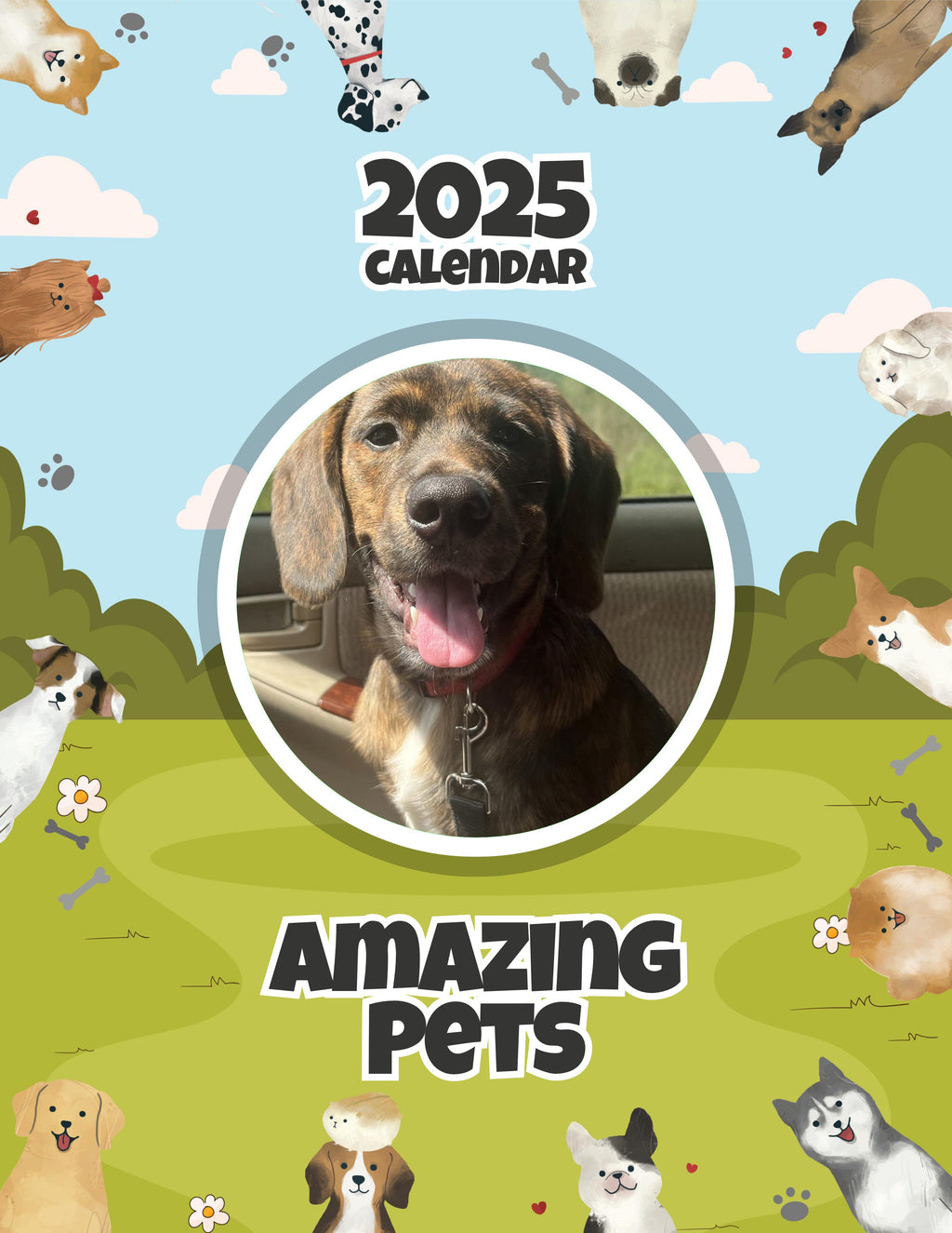 Amazing Pets: 2025 Wall Calendar (Pre-Order)