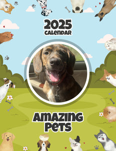 Amazing Pets: 2025 Wall Calendar (Pre-Order)