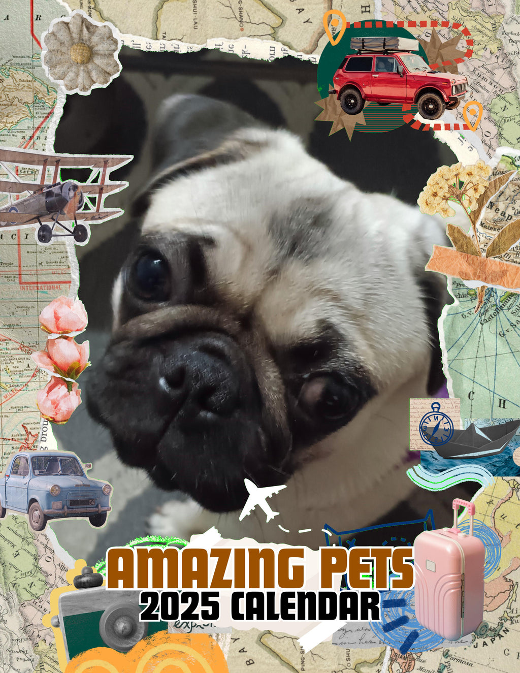 Amazing Pets: 2025 Wall Calendar (Pre-Order)