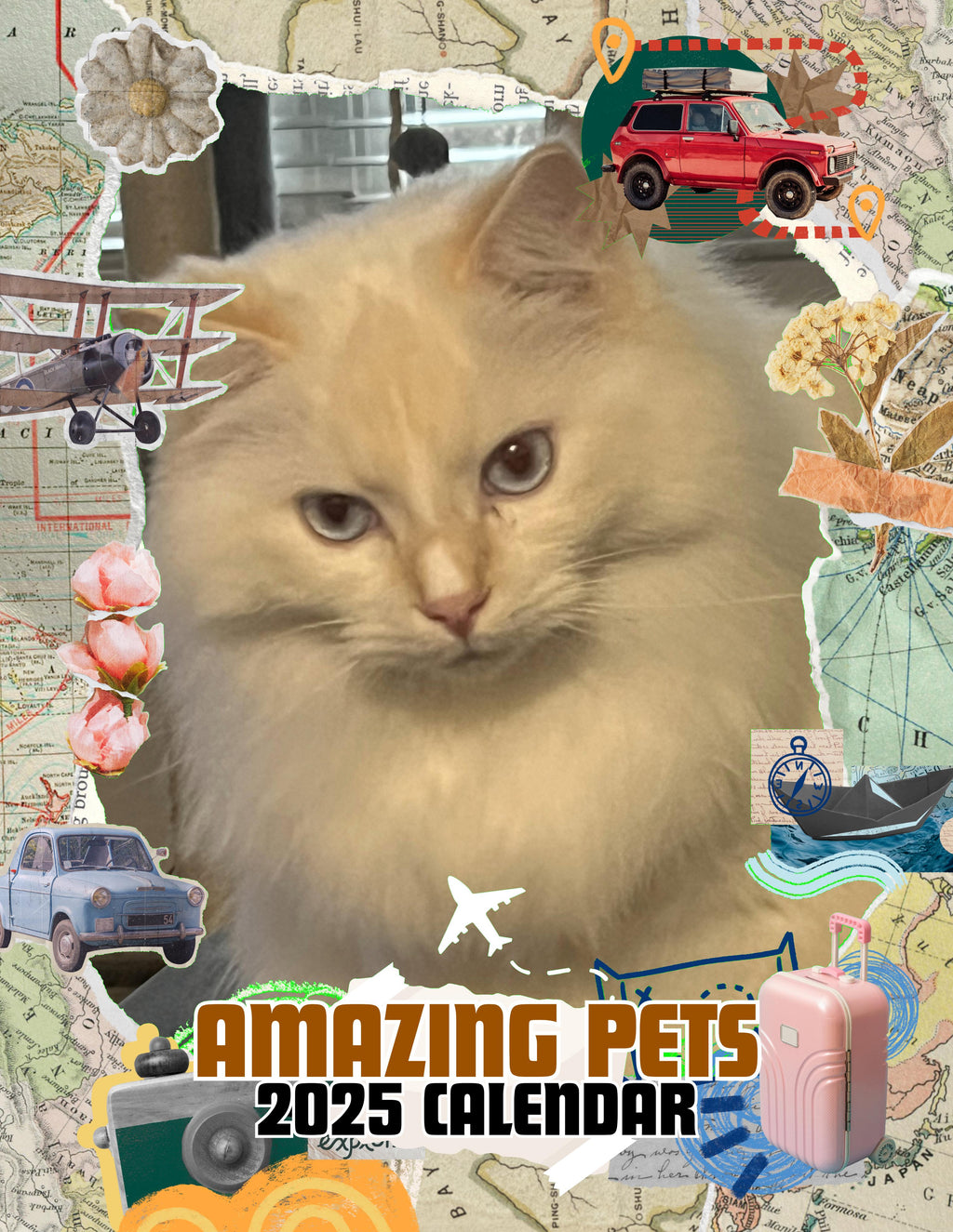 Amazing Pets: 2025 Wall Calendar (Pre-Order)