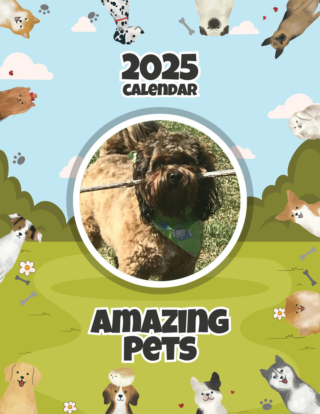 Amazing Pets: 2025 Wall Calendar (Pre-Order)