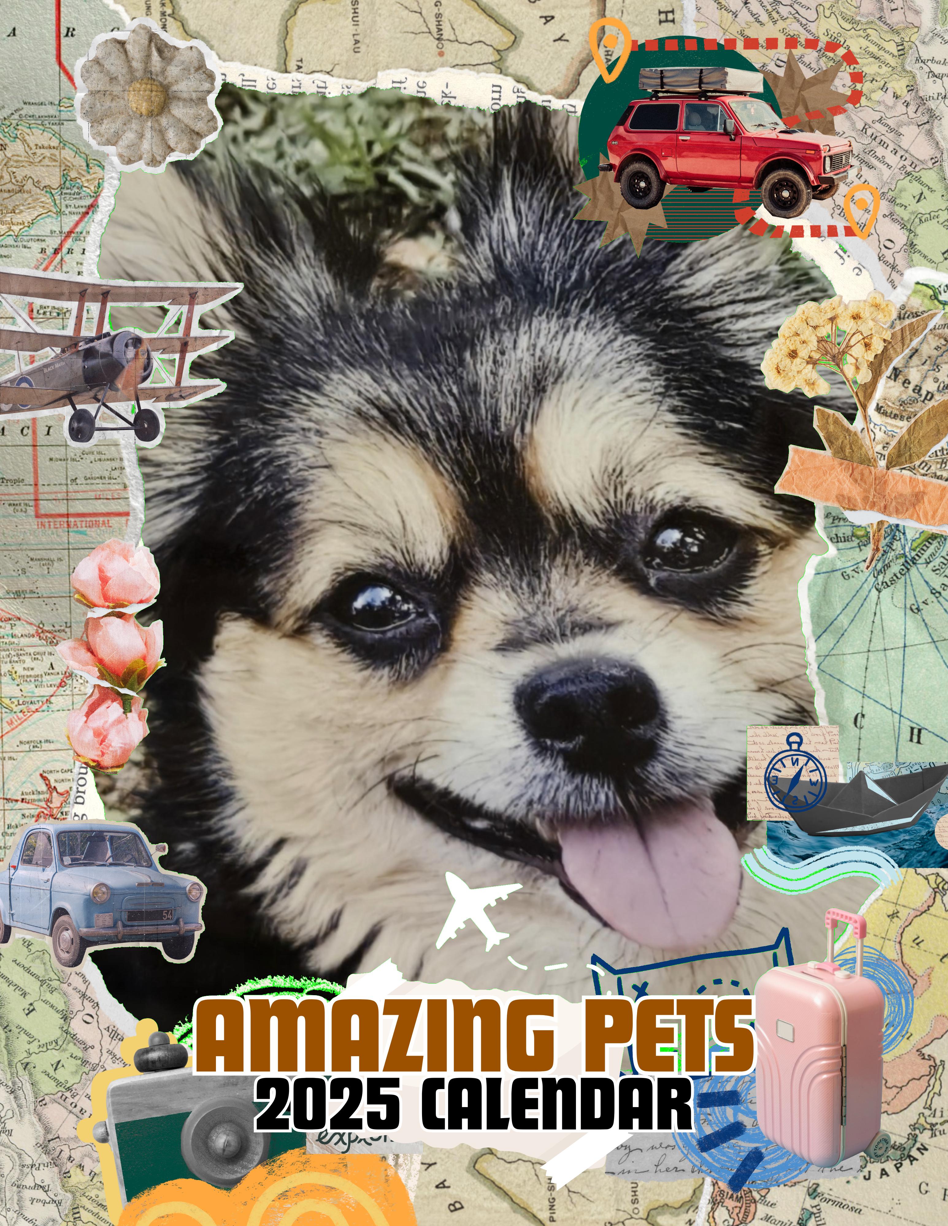 Amazing Pets: 2025 Wall Calendar (Pre-Order)