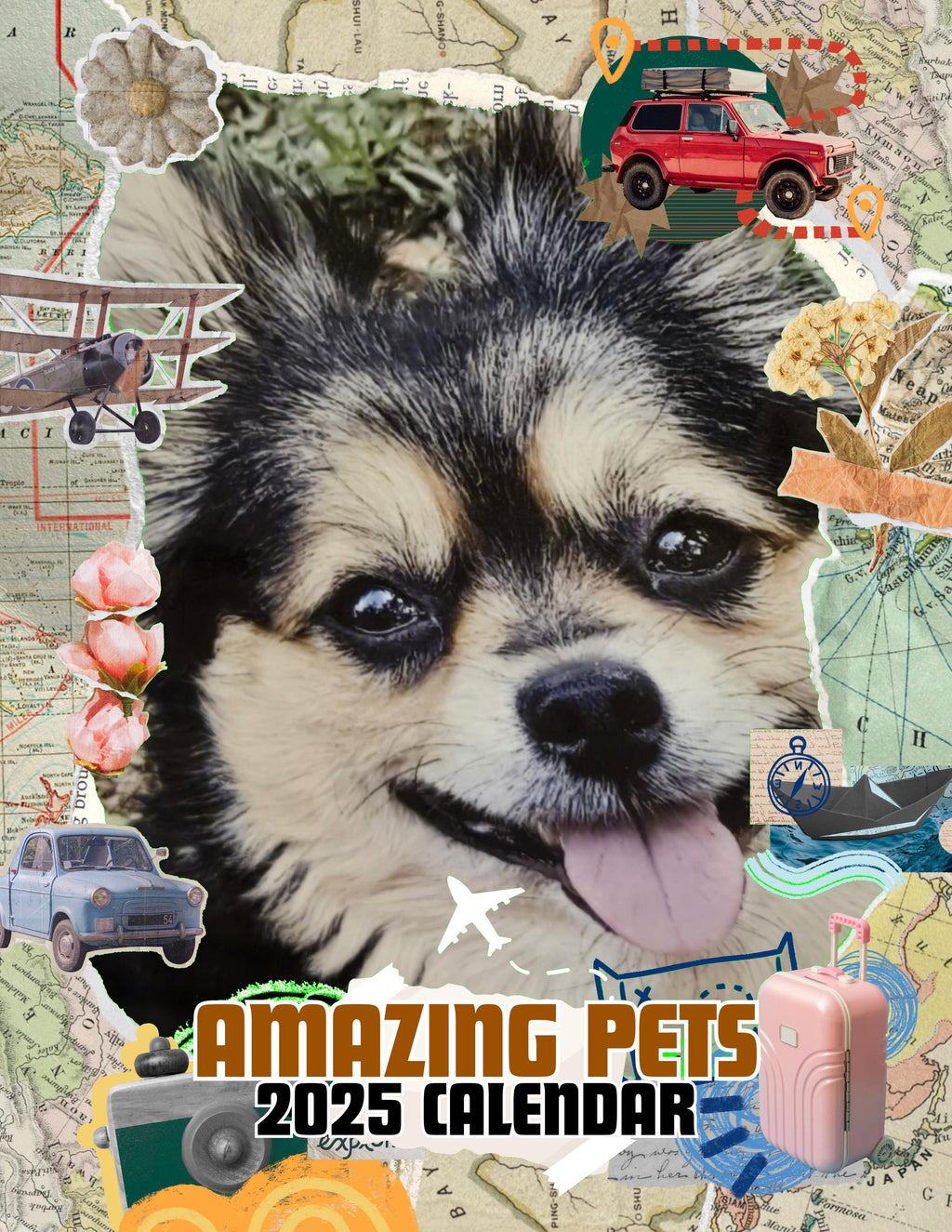 Amazing Pets: 2025 Wall Calendar (Pre-Order)