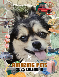 Amazing Pets: 2025 Wall Calendar (Pre-Order)