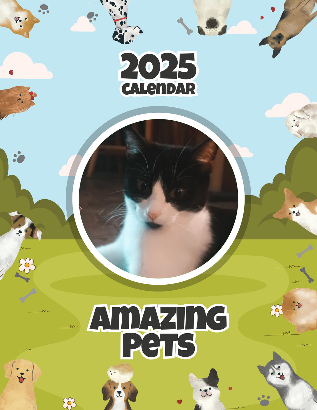 Amazing Pets: 2025 Wall Calendar (Pre-Order)